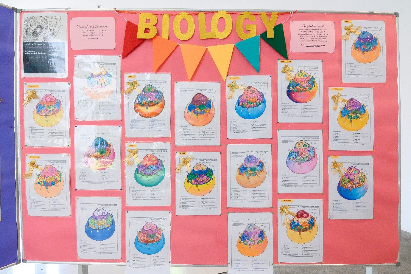 Students’ challenge submissions