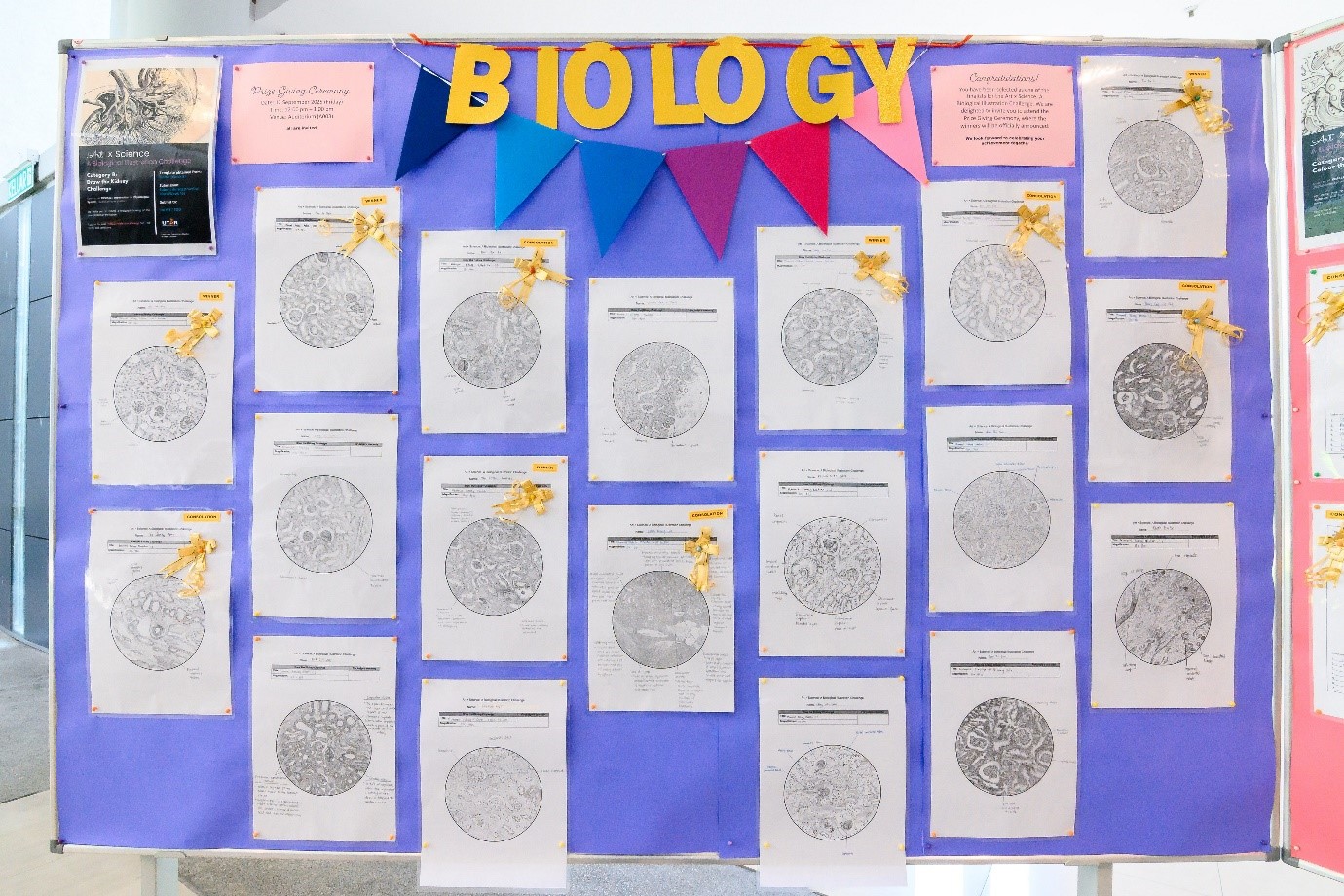 Students’ challenge submissions