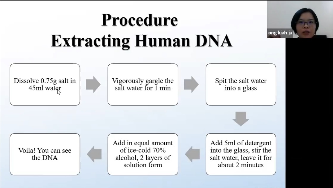 dna extraction from human cheek cells