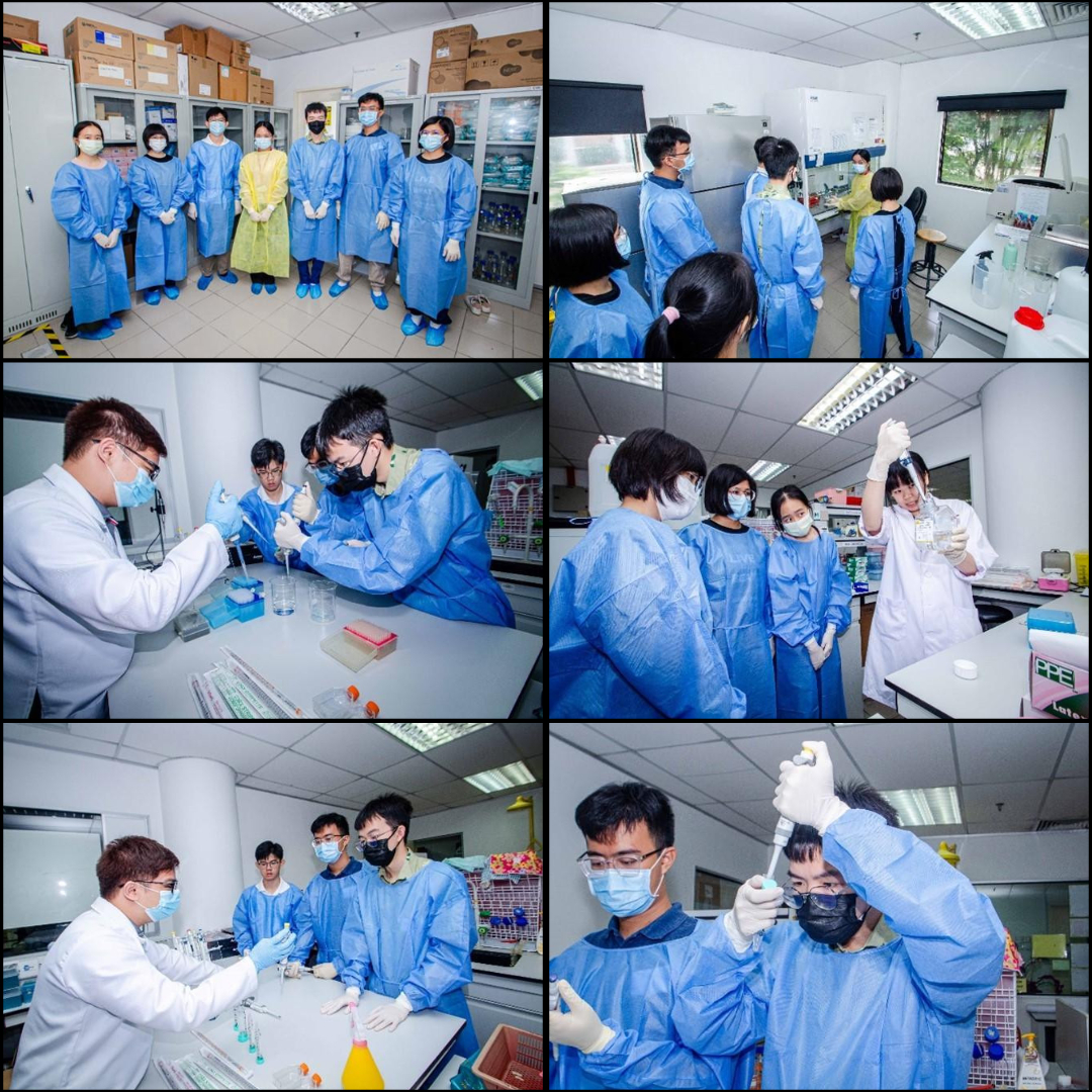 Students gaining hands-on experience in cell and molecular biology under expert guidance