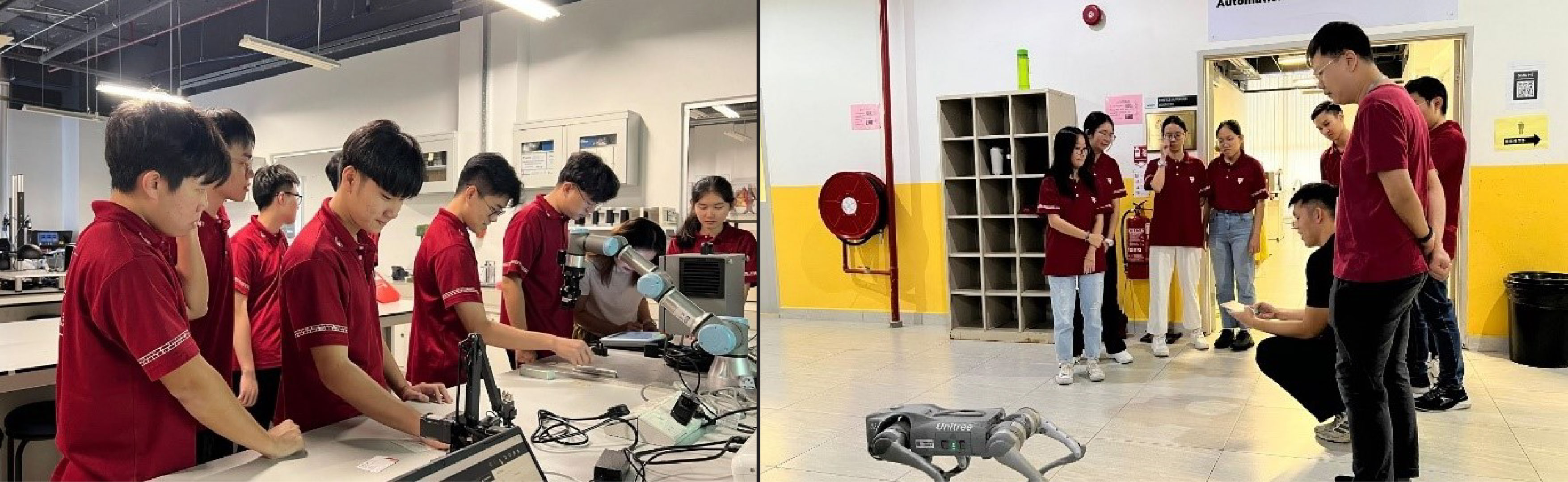 Dr Low explaining gait analysis concepts to students