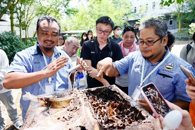 Beehive demonstration workshop