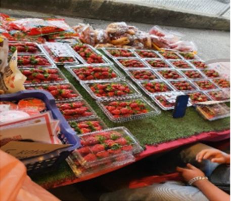 A glimpse into the engaging activities from the field trip