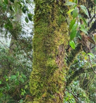 A glimpse into the engaging activities from the field trip