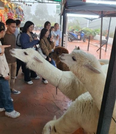 A glimpse into the engaging activities from the field trip