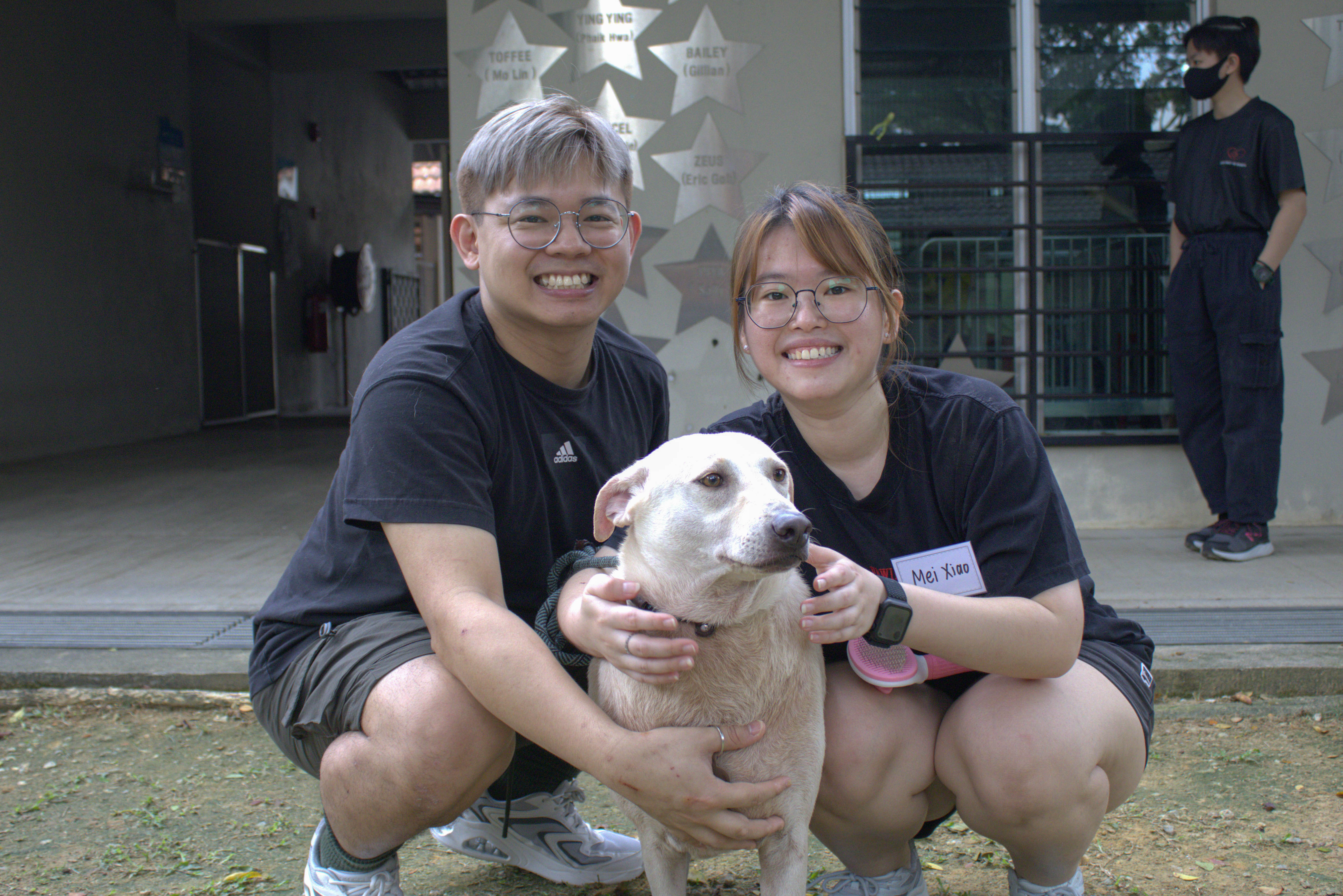 UTAR students spread love for strays with Paws 5 at SPCA