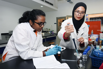 Hands-on workshop on SEM