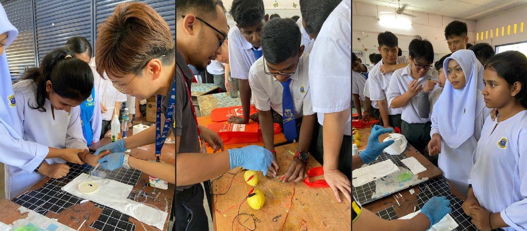 Students exploring science concepts through Lemon Battery and Surface Tension activities